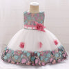 Girls Beaded Lace Applique Dress