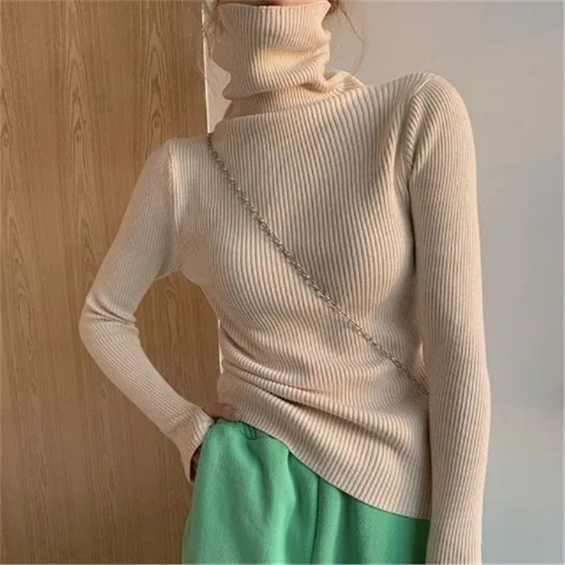 Turtleneck Slim Soft Knit Sweater