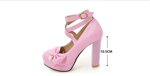 Square Heels Platform Mary Jane Elegant High Heel Pumps