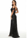 Sequin Maxi Tassel Sleeves Evening Dress