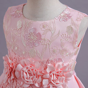 Girls Flower Embroidered Princess Dress