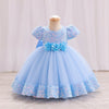 Girls Sequin Butterfly Sleeve Dress