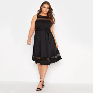 Plus Size Sleeveless Mesh Panel Black Dress