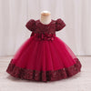 Girls Sequin Butterfly Sleeve Dress