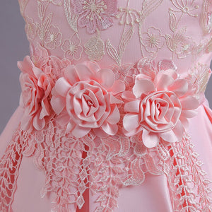 Girls Flower Embroidered Princess Dress