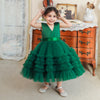 Baby Girls Lace Princess Tulle Dress