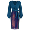 Sequin Luxury Long Sleeve V-Neck Defined Waist Dress