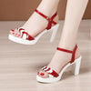 Elegant Platform Square Heel Sandals - http://chicboutique.com.au