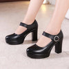 Assorted Heel Height Mary Jane High Heel Pumps - http://chicboutique.com.au