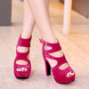 High heel Gladiator Style sandals - http://chicboutique.com.au