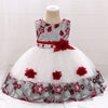 Girls Beaded Lace Applique Dress